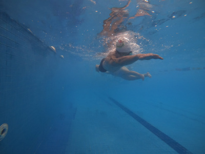 ภาพ Deadfish 10km Endurance Swim 2023