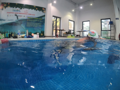 ภาพ Deadfish 10km Endurance Swim 2023
