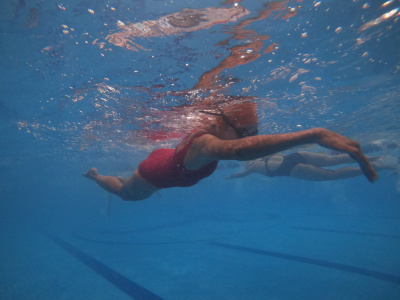 ภาพ Deadfish 10km Endurance Swim 2023