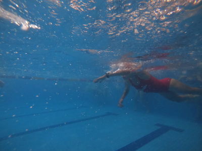 ภาพ Deadfish 10km Endurance Swim 2023