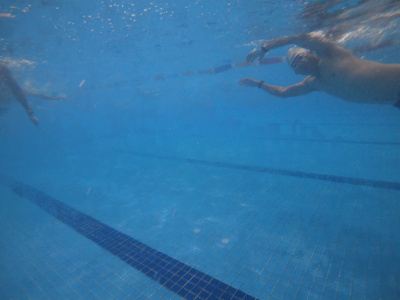 ภาพ Deadfish 10km Endurance Swim 2023