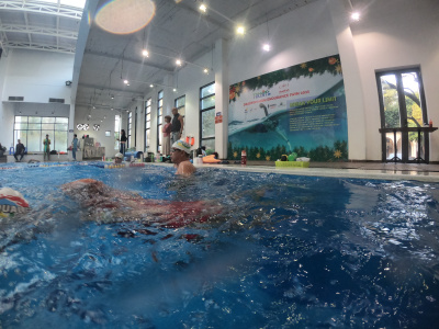 ภาพ Deadfish 10km Endurance Swim 2023