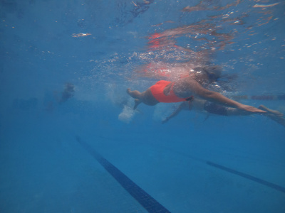 ภาพ Deadfish 10km Endurance Swim 2023