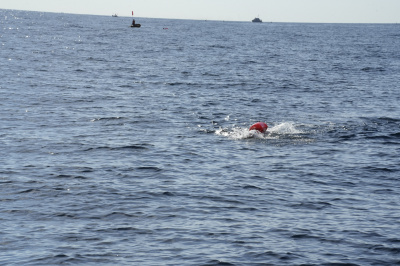 Photo Ly Son Cross Island 2024