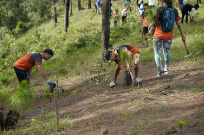 Tà Năng Mini Trail 2024の写真