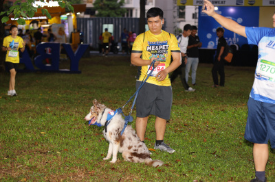 Foto Me&Pet Run 2024