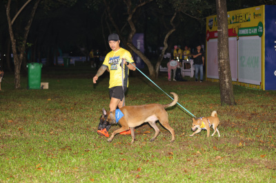 Foto Me&Pet Run 2024