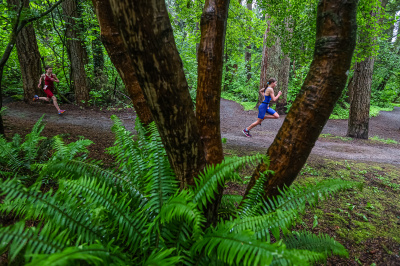 Foto North Shore Triathlon 2025