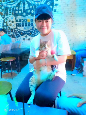 Foto Lễ hội cầu Ngư Thạnh Bình Nam 2025 