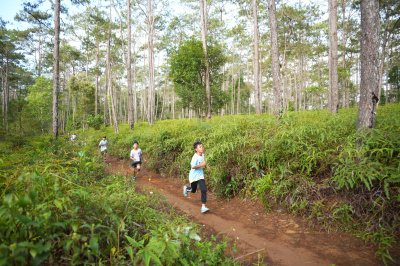 Măng Đen Lala Trail 2026 - Free photosの写真