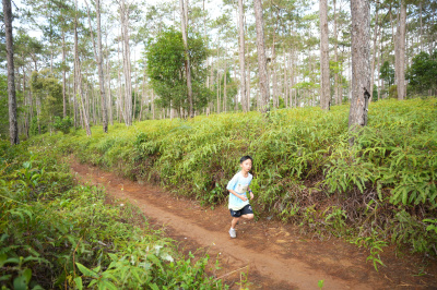 Măng Đen Lala Trail 2026 - Free photosの写真