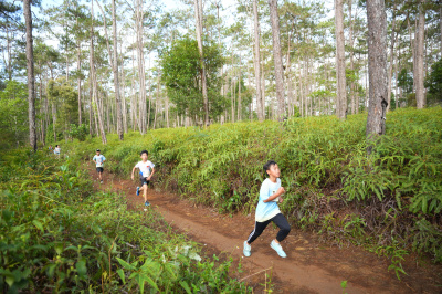 Măng Đen Lala Trail 2026 - Free photosの写真