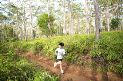 Măng Đen Lala Trail 2026 - Free photosの写真