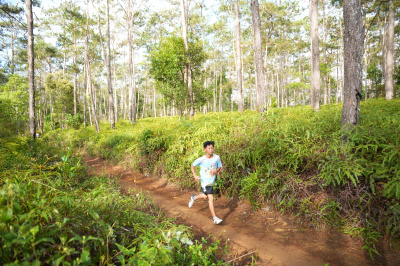 Măng Đen Lala Trail 2026 - Free photosの写真