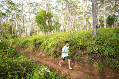 Măng Đen Lala Trail 2026 - Free photosの写真
