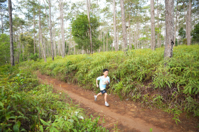 Măng Đen Lala Trail 2026 - Free photosの写真