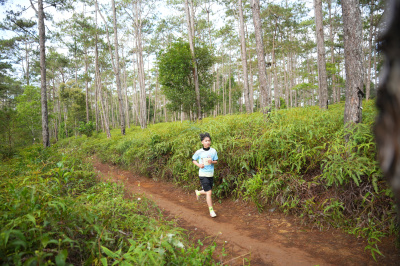 Măng Đen Lala Trail 2026 - Free photosの写真