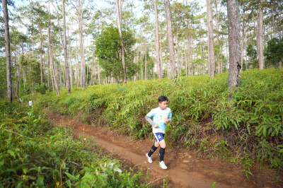 Măng Đen Lala Trail 2026 - Free photosの写真