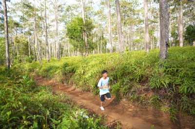Măng Đen Lala Trail 2026 - Free photosの写真