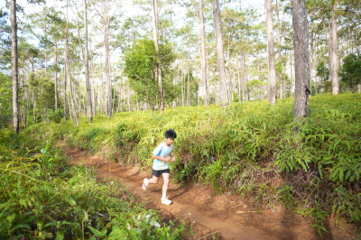Măng Đen Lala Trail 2026 - Free photosの写真