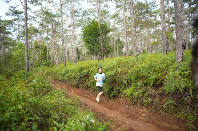 Măng Đen Lala Trail 2026 - Free photosの写真