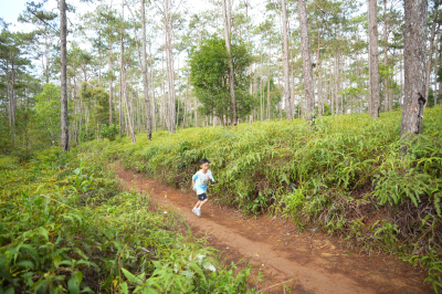 Măng Đen Lala Trail 2026 - Free photosの写真