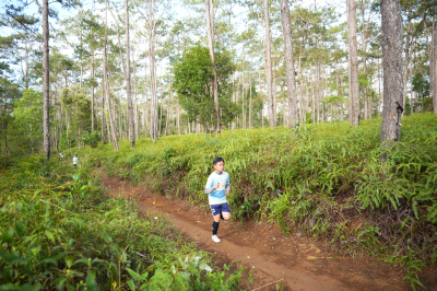 Măng Đen Lala Trail 2026 - Free photosの写真
