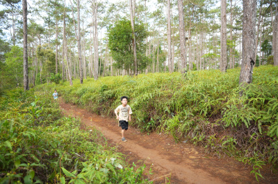 Măng Đen Lala Trail 2026 - Free photosの写真