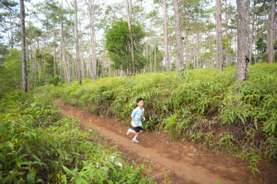 Măng Đen Lala Trail 2026 - Free photosの写真