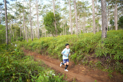 Măng Đen Lala Trail 2026 - Free photosの写真