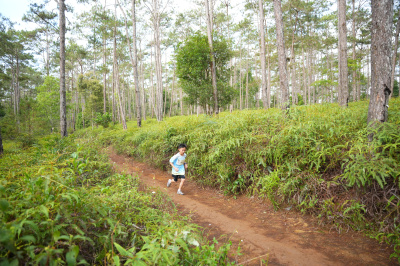 Măng Đen Lala Trail 2026 - Free photosの写真