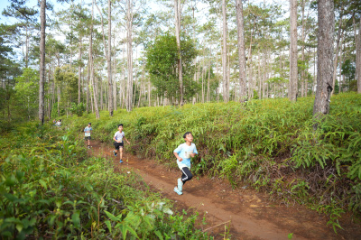 Măng Đen Lala Trail 2026 - Free photosの写真