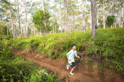 Măng Đen Lala Trail 2026 - Free photosの写真