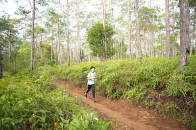 Măng Đen Lala Trail 2026 - Free photosの写真
