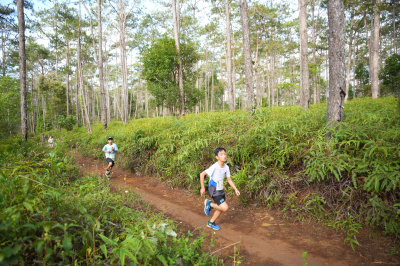 Măng Đen Lala Trail 2026 - Free photosの写真