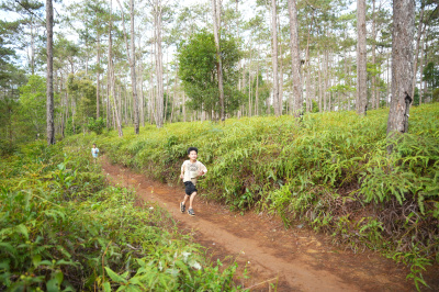 Măng Đen Lala Trail 2026 - Free photosの写真