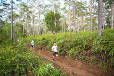 Măng Đen Lala Trail 2026 - Free photosの写真