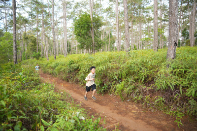 Măng Đen Lala Trail 2026 - Free photosの写真