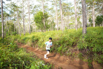 Măng Đen Lala Trail 2026 - Free photosの写真