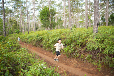 Măng Đen Lala Trail 2026 - Free photosの写真