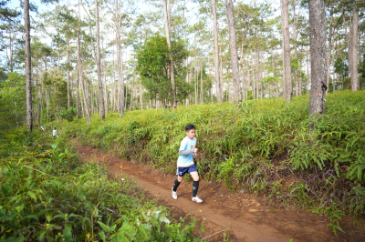 Măng Đen Lala Trail 2026 - Free photosの写真