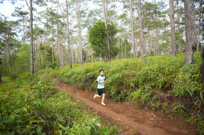 Măng Đen Lala Trail 2026 - Free photosの写真