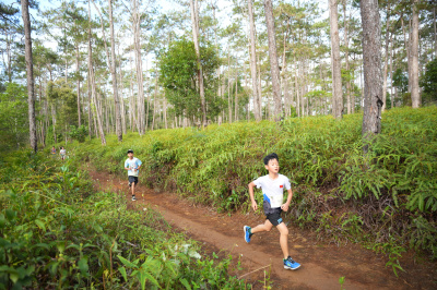 Măng Đen Lala Trail 2026 - Free photosの写真