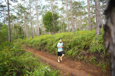 Măng Đen Lala Trail 2026 - Free photosの写真