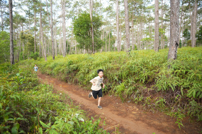 Măng Đen Lala Trail 2026 - Free photosの写真