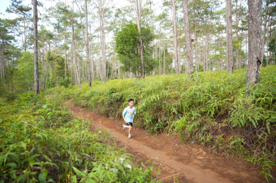 Măng Đen Lala Trail 2026 - Free photosの写真