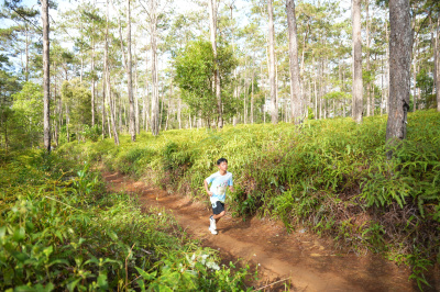 Măng Đen Lala Trail 2026 - Free photosの写真