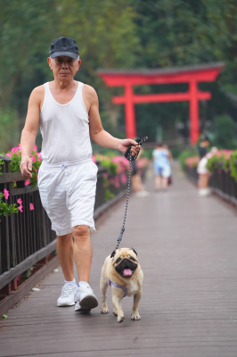 Foto SSC RUN 2026 - SEASON 3  - CHINH PHỤC GIỚI HẠN - NÂNG TẦM TƯƠNG LAI