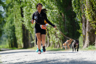 K9 Run 2026の写真