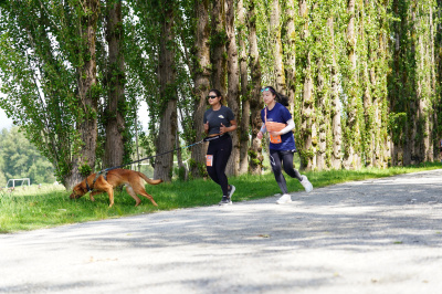K9 Run 2026の写真